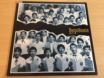 BoysVoice ‎– BoysVoice