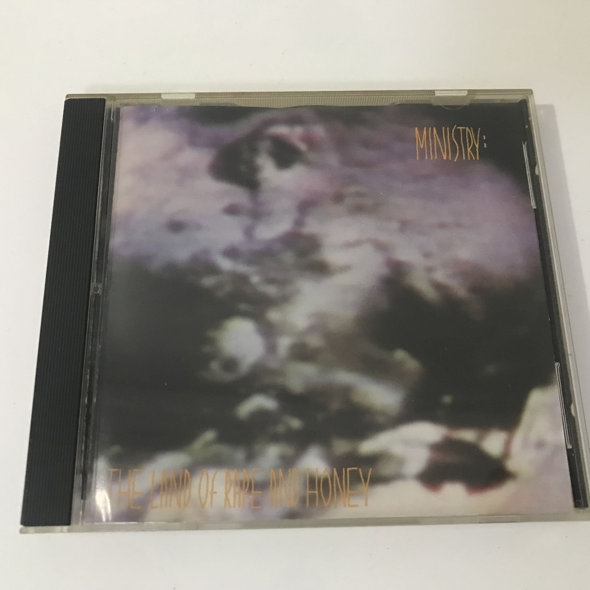 Ministry – The Land Of Rape And Honey