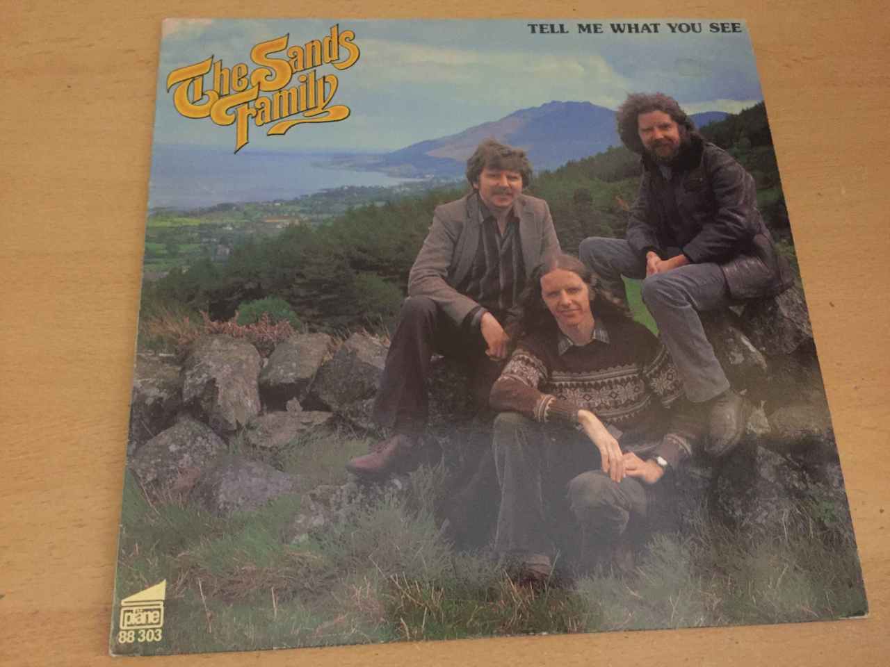 The Sands Family ‎– Tell Me What You See