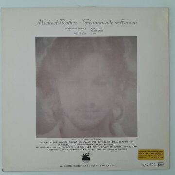 Michael Rother – Flammende Herzen