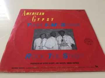 American Gypsy ‎– You're In My System