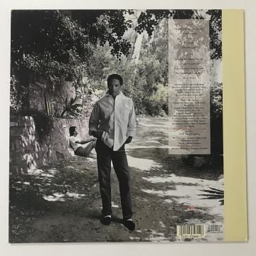 Al Jarreau ‎– L Is For Lover