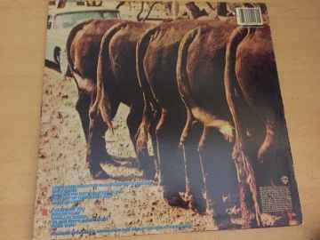 Nitty Gritty Dirt Band ‎– Plain Dirt Fashion