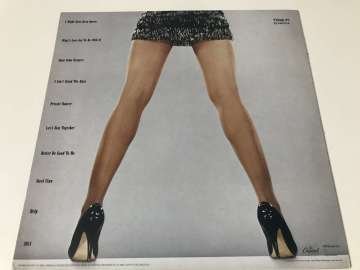 Tina Turner – Private Dancer (Resimli Plak)