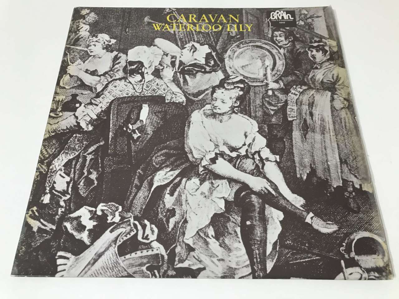 Caravan – Waterloo Lily
