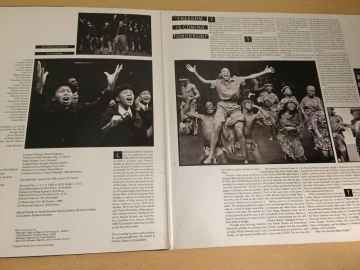 Sarafina! (The Music Of Liberation)