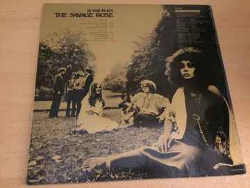 The Savage Rose ‎– In The Plain