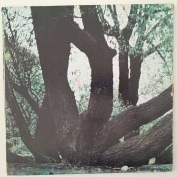 Fat Mattress – Fat Mattress