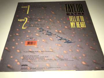 Taylor Dayne ‎– Tell It To My Heart (House Of Hearts Mix)