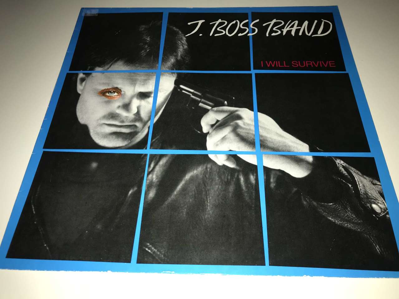 J. Boss Band ‎– I Will Survive