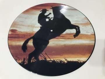 Country & Western Greatest Hits (Resimli Plak)