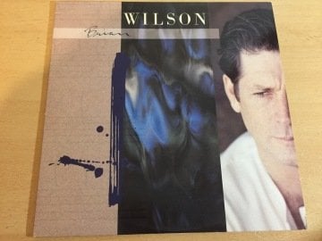 Brian Wilson ‎– Brian Wilson