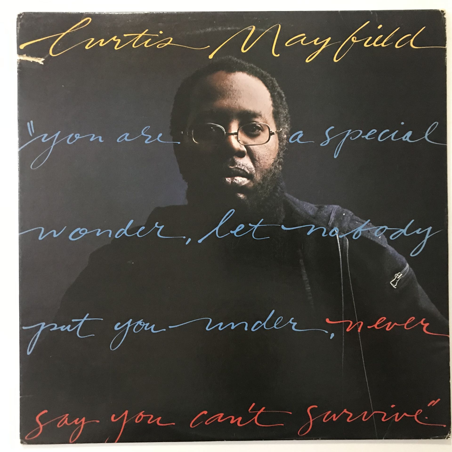 Curtis Mayfield – Never Say You Can't Survive