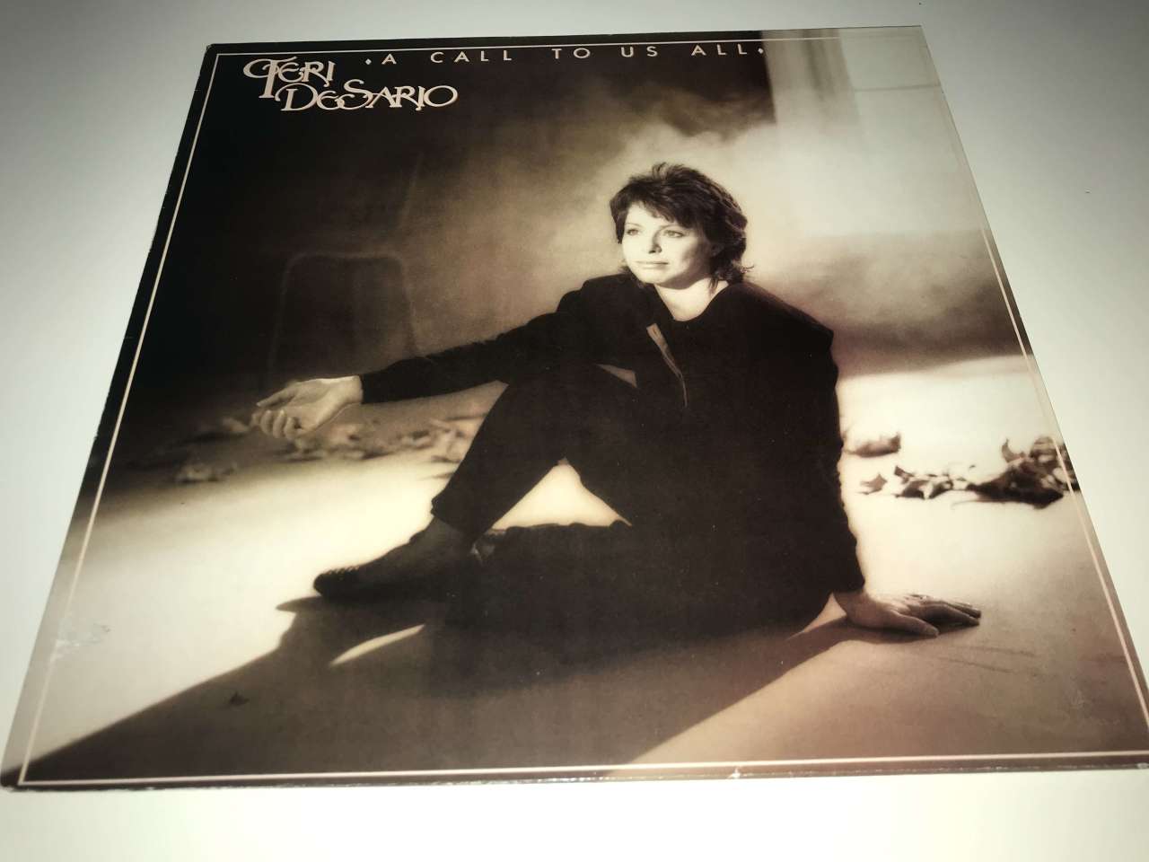 Teri Desario ‎– A Call To Us All