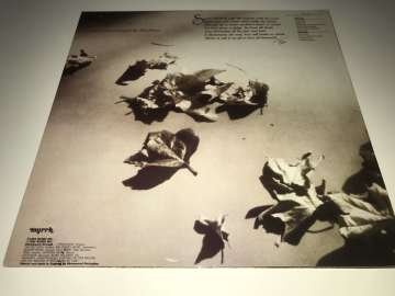 Teri Desario ‎– A Call To Us All