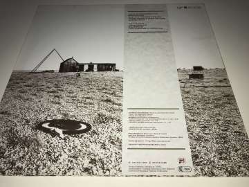 Jeffrey Lee Pierce ‎– Wildweed