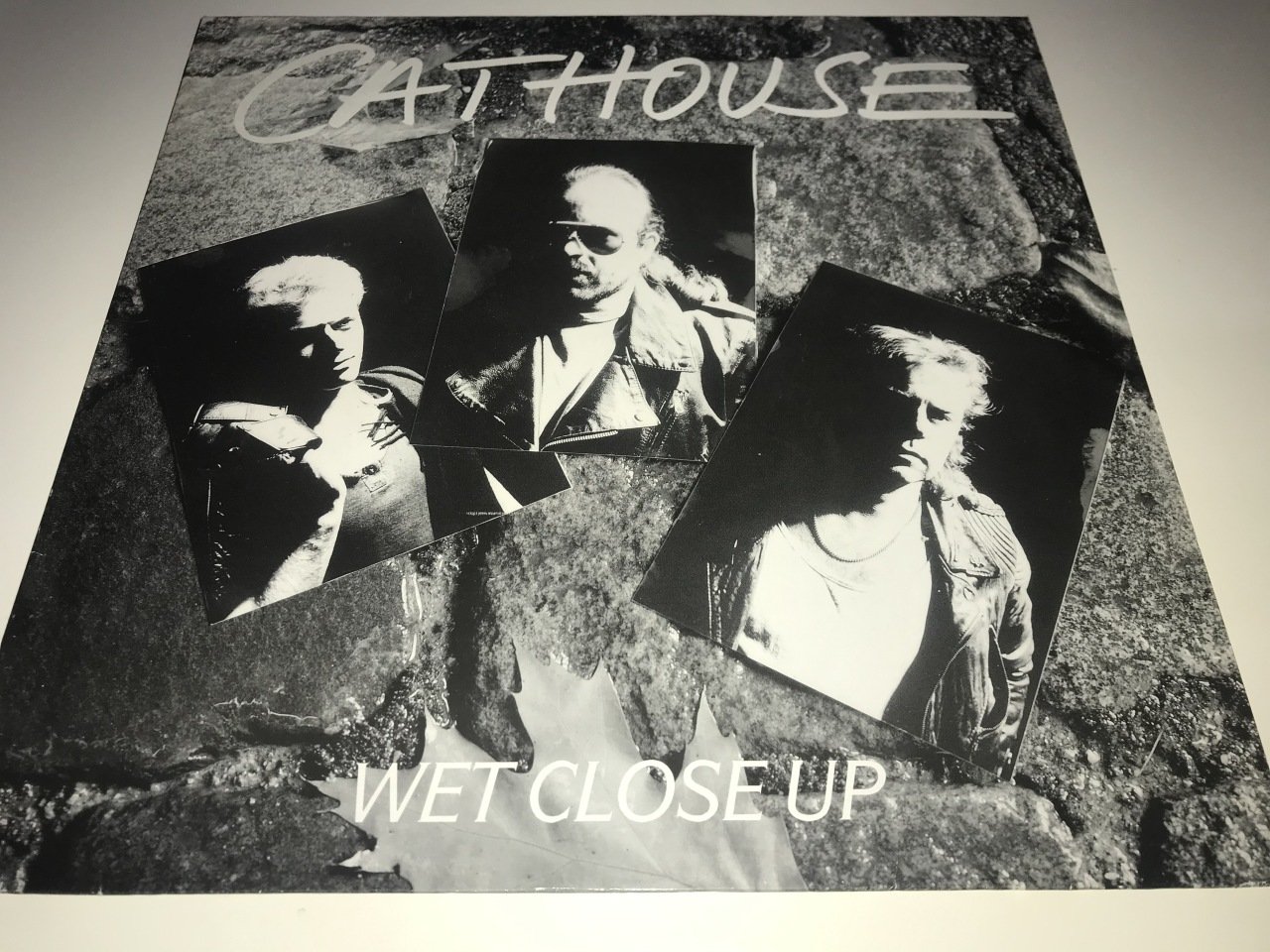 Cat House - Wet Close Up