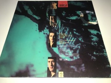 Chinchilla Green ‎– A Taste Of Times To Come...