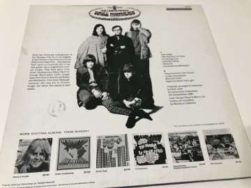 The Lemon Pipers – Jungle Marmalade