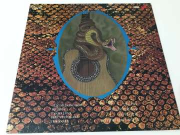 Harvey Mandel – The Snake