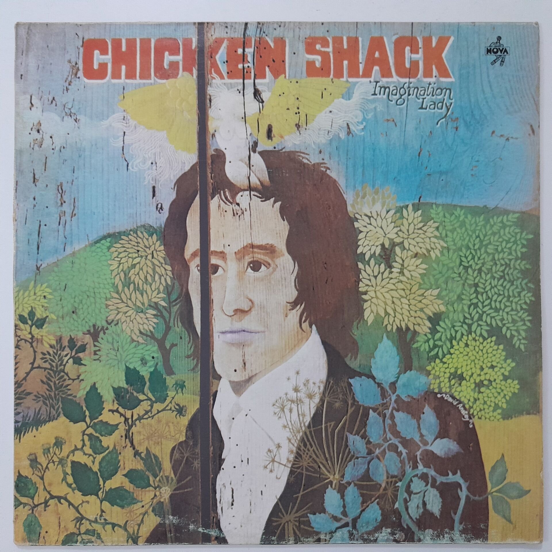 Chicken Shack ‎– Imagination Lady
