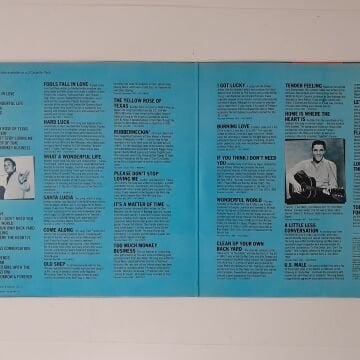 Elvis Presley ‎– The Wonderful World Of Elvis 2 LP