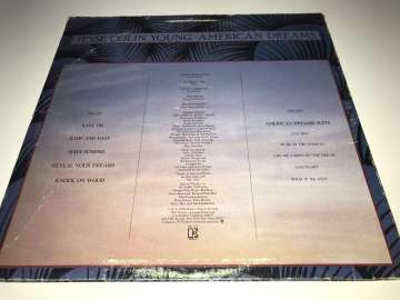 Jesse Colin Young ‎– American Dreams
