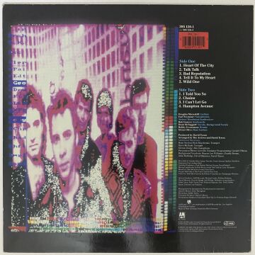 The Arrows ‎– The Lines Are Open