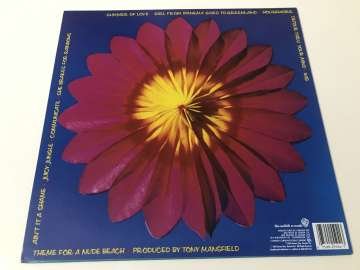 The B-52's – Bouncing Off The Satellites
