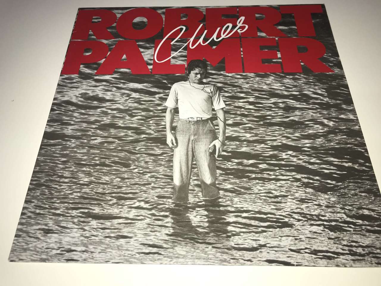Robert Palmer ‎– Clues