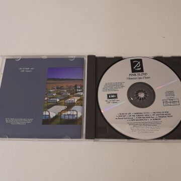 Pink Floyd – A Momentary Lapse Of Reason