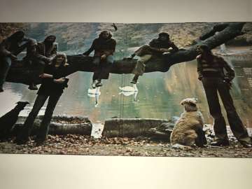 Fleetwood Mac ‎– Penguin