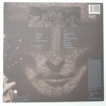 The Chameleons – Strange Times