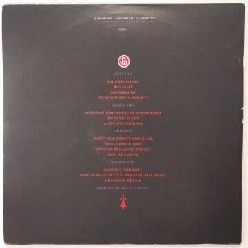 Simple Minds ‎– Live In The City Of Light 2 LP (Kitapçıklı)