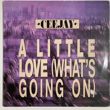 Ceejay ‎– A Little Love (What's Going On)
