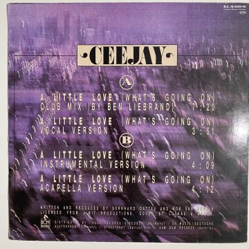 Ceejay ‎– A Little Love (What's Going On)