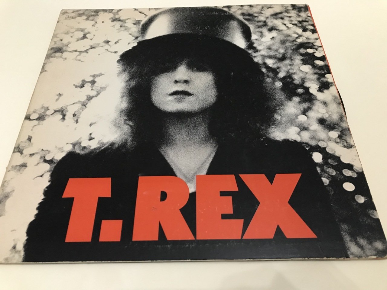 T. Rex ‎– The Slider