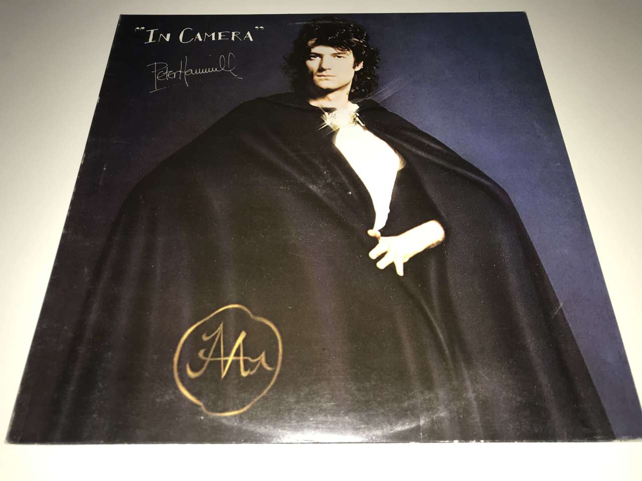 Peter Hammill ‎– In Camera