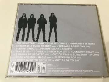 Ramones – Best Of The Chrysalis Years