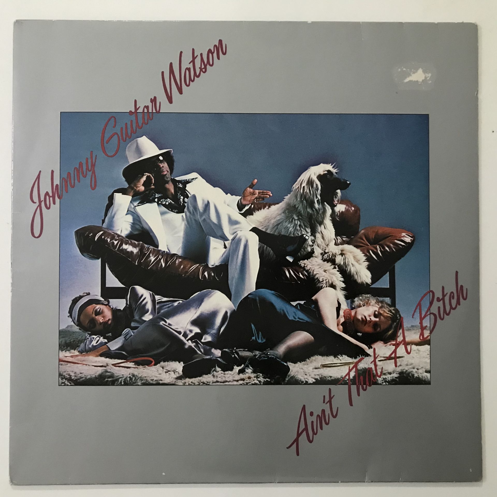 Johnny Guitar Watson – Ain't That A Bitch