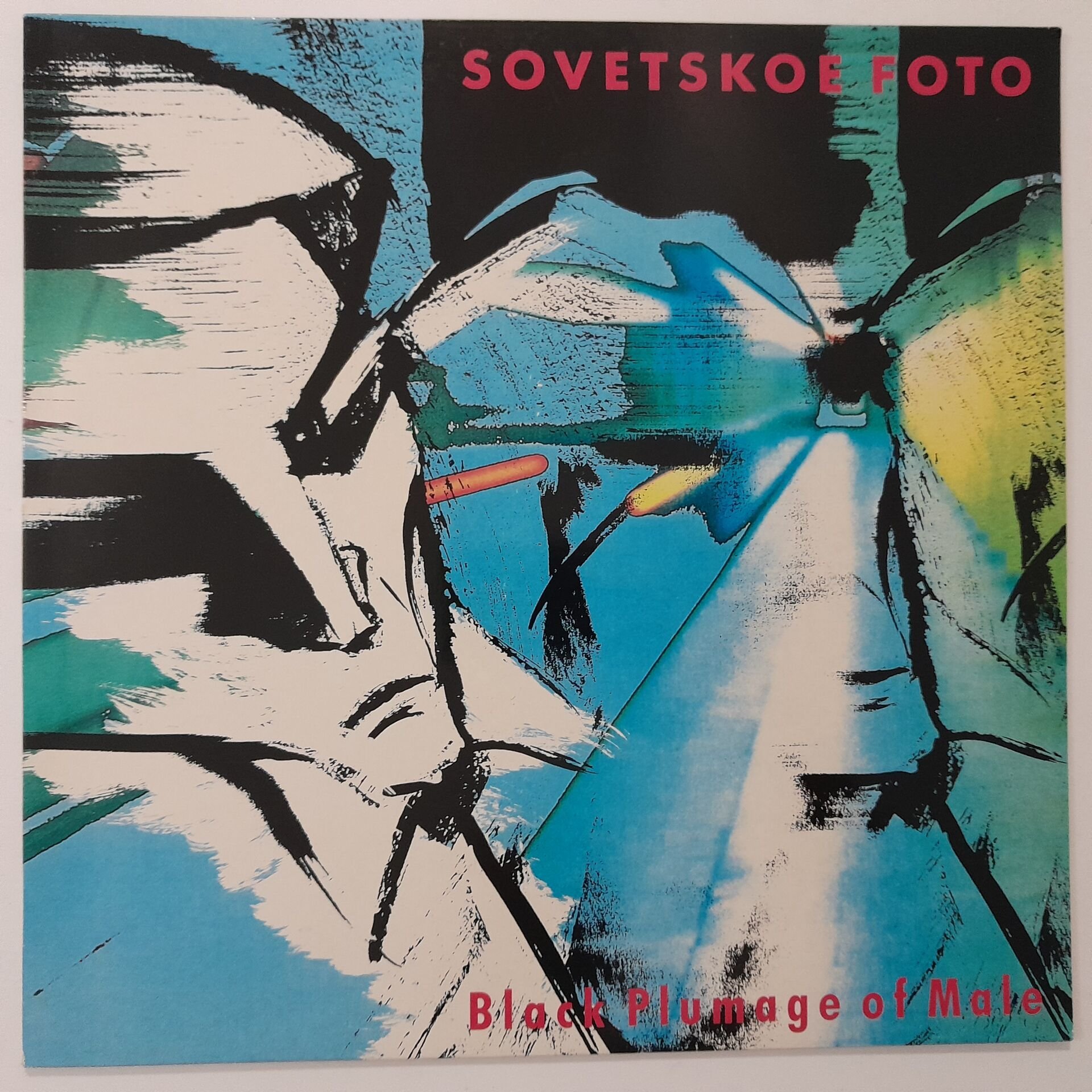 Sovetskoe Foto – Black Plumage Of Male