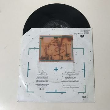 Duran Duran ‎– The Wild Boys