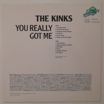 The Kinks – You Really Got Me
