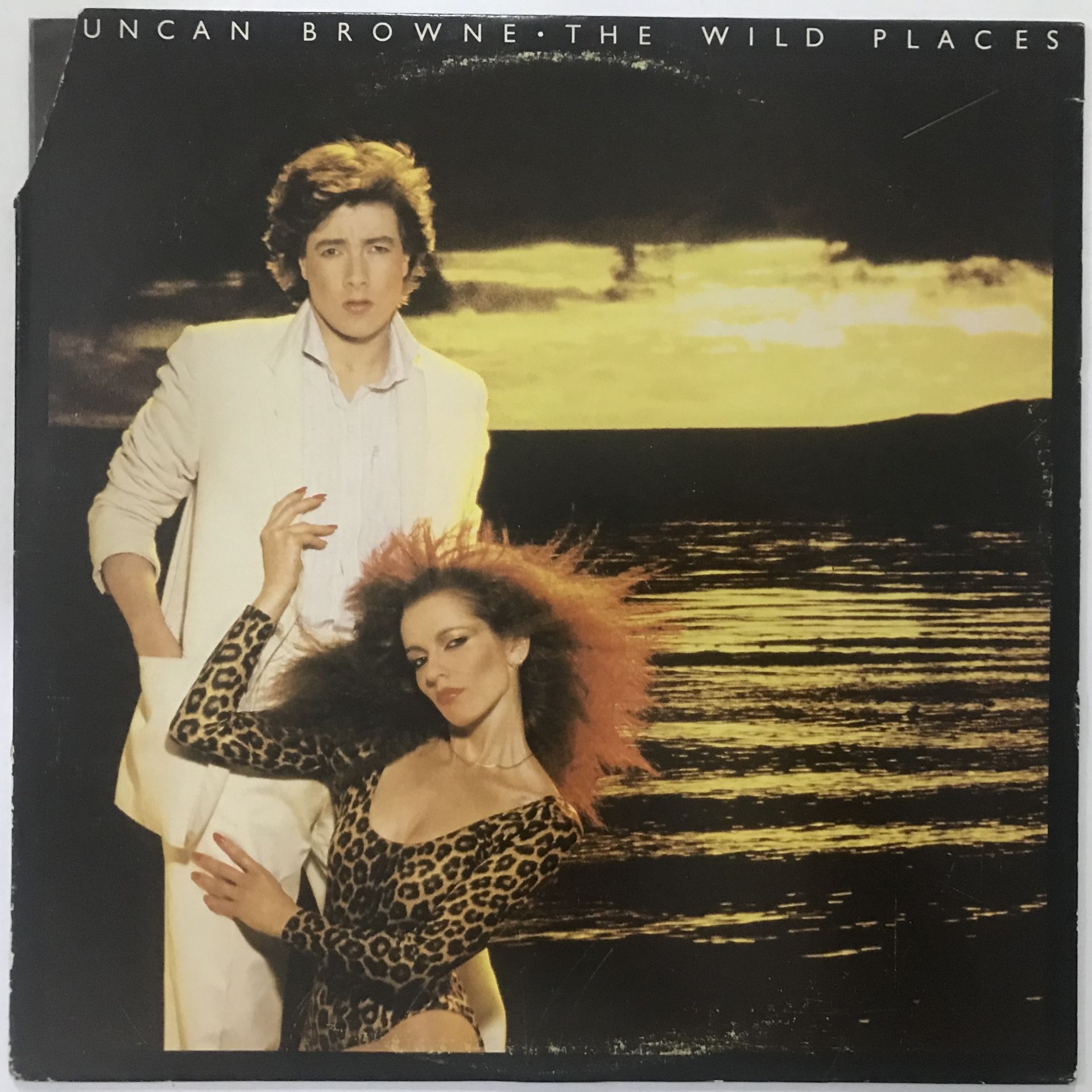 Duncan Browne ‎– The Wild Places