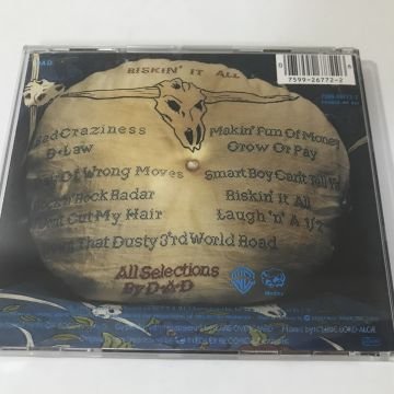 D-A-D – Riskin' It All