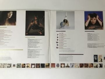 Kate Bush ‎– The Whole Story