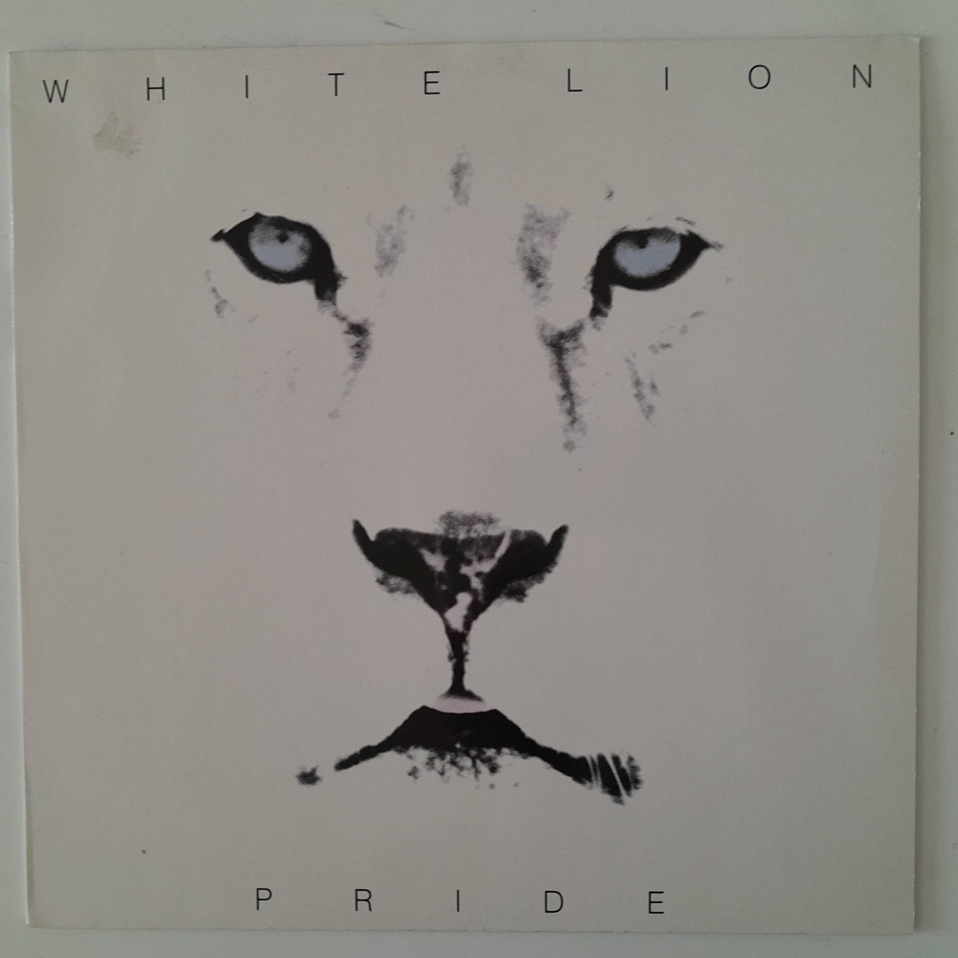White Lion – Pride