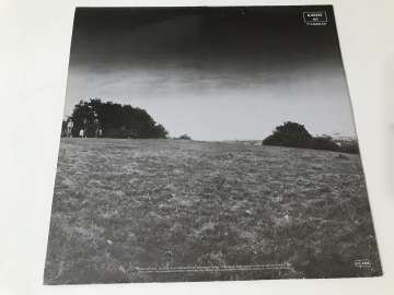 Madness ‎– The Rise & Fall