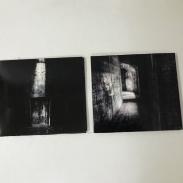 Shadow Gallery – Digital Ghosts