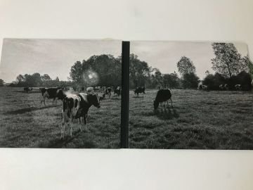 Pink Floyd – Atom Heart Mother
